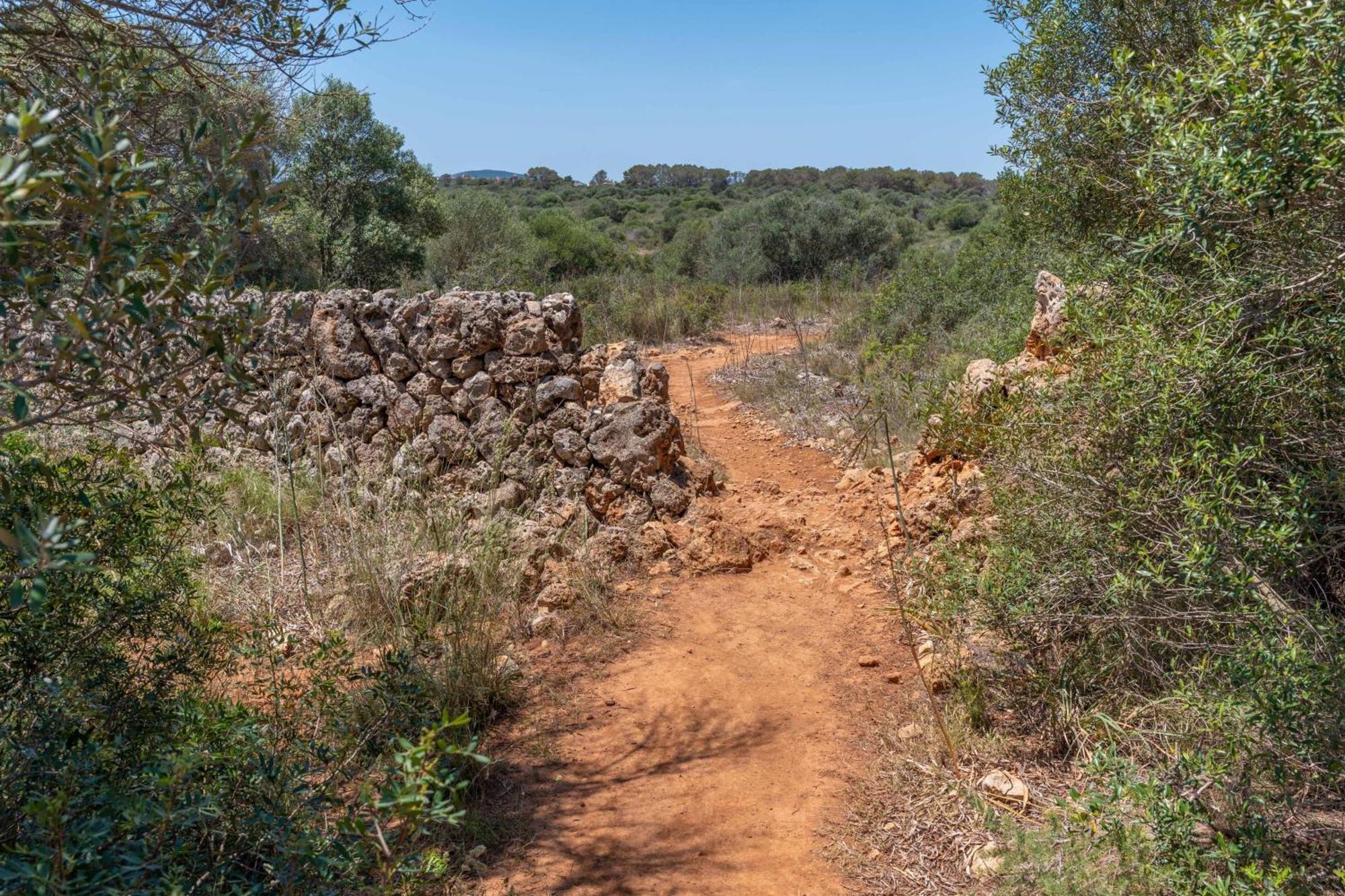 Guillem Boquet * Porto Cristo